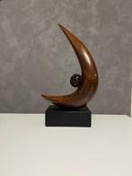 Armando Cheri (1962) - Luna e satellite, Antiek en Kunst