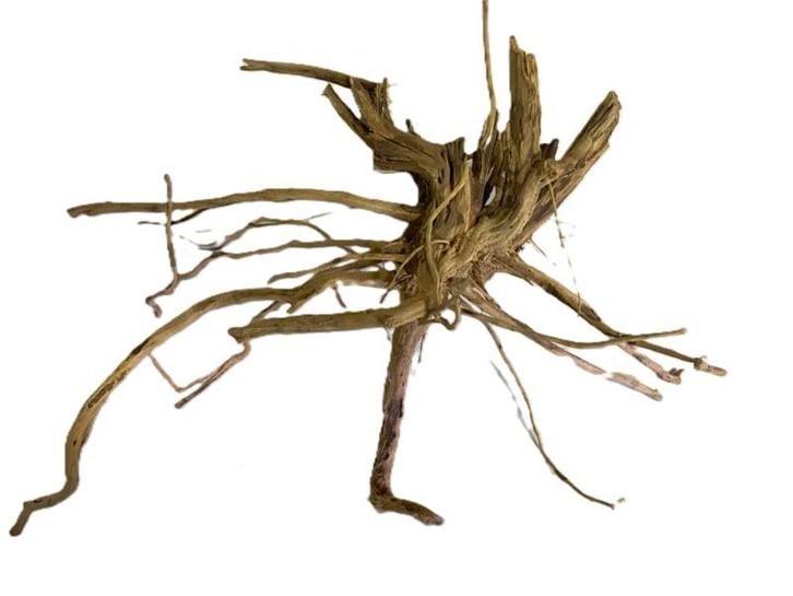 Driftwood Selected DW13 - 55x35x25cm (Small drift wood), Dieren en Toebehoren, Vissen | Aquaria en Toebehoren, Plant(en), Steen of Hout