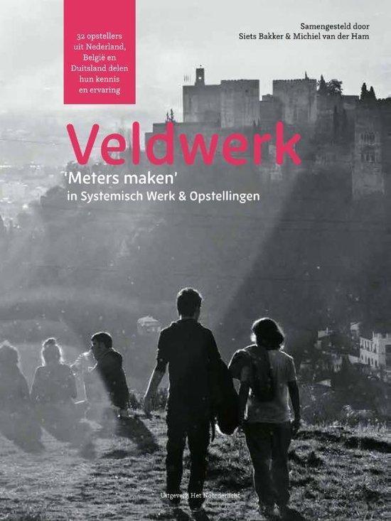 9789492331977 VeldWerk Michiel van der Ham, Boeken, Schoolboeken, Nieuw, Verzenden