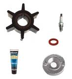 Servicebeurt - 2.5 pk (Carburateur) 4-takt, Verzenden, Nieuw