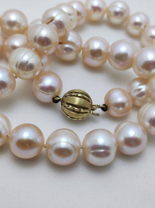 Zonder Minimumprijs - Kralensnoer - 14 karaat Geel goud, Sieraden, Tassen en Uiterlijk, Antieke sieraden