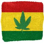 Rasta Leaf - Logo - wristband zweetbandje off. merchandise, Verzamelen, Ophalen of Verzenden, Nieuw, Kleding