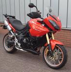 Triumph Tigers, Scramblers, Speed/Street Triple, Street Twin