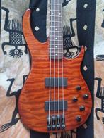 Peavey - - Elektrische basgitaar, Muziek en Instrumenten, Snaarinstrumenten | Gitaren | Akoestisch, Nieuw