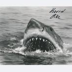 Jaws - Signed by Kevin Pike (S/F/X), Nieuw