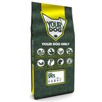 Yourdog Japanse Spits Senior - 12 KG (400849), Verzenden, Nieuw