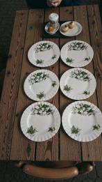 Royal Albert - Dessertservies (6) - Trillium - Porselein -