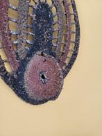Yammasker - Abelam - Papoea-Nieuw-Guinea (Zonder