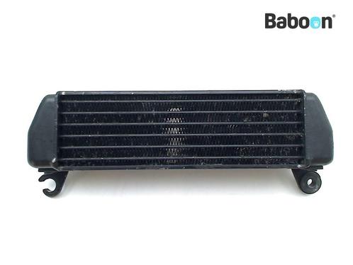 Oliekoeler BMW R 1200 ST (R1200ST) (17217677546), Motoren, Onderdelen | BMW, Gebruikt, Verzenden