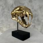 sculptuur, NO RESERVE PRICE - Polished bronze Snow Leopard -