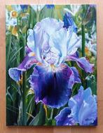 Alexander Nakonechnyi (XX-XXI) - Iris