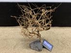 Osaka Bonsai Tree nr 20 - 28x10x36cm - aquascaping boom, Dieren en Toebehoren, Vissen | Aquaria en Toebehoren, Ophalen of Verzenden
