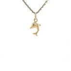 Gouden dolfijn hanger 14 karaat, Verzenden, Zo goed als nieuw, Goud, Goud