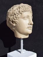 Figuur - Testa di Dionisio - Herbouwd Carrara-marmer