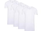 4-pack Cappuccino Wit T-Shirt V-hals - Extra Lange, Verzenden, Nieuw