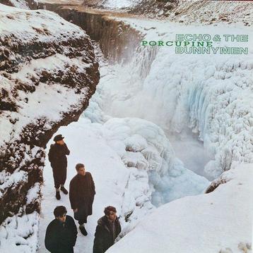 Echo & The Bunnymen, The Passions, the Sound - 3 x LPs - beschikbaar voor biedingen