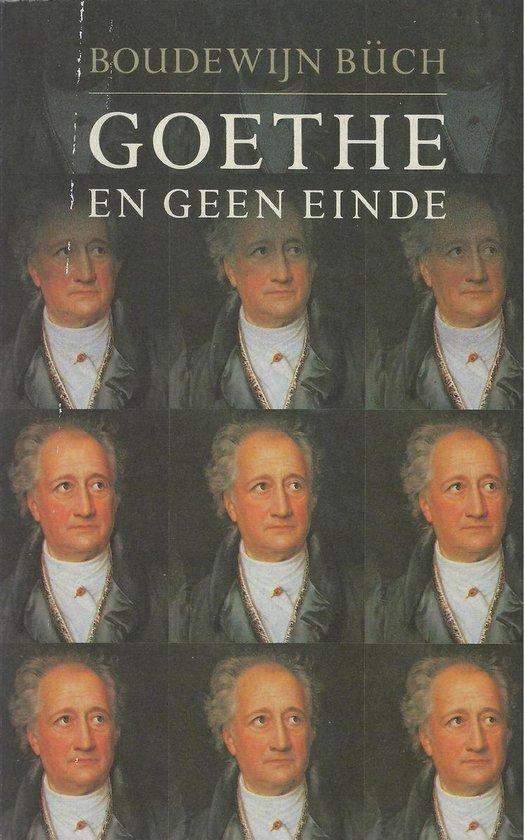 Goethe En Geen Einde, Boeken, Overige Boeken, Ophalen of Verzenden