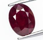 Zonder Minimumprijs Robijn - 2.73 ct - Lotus Gemology - Deep, Nieuw