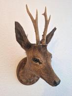 Hertenkop als trofee op een houten schild gemonteerd,, Antiek en Kunst