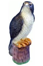 Valk, Verzenden, Nieuw