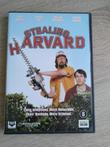 DVD - Stealing Harvard
