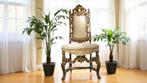 Fauteuil - Verguld hout - Goudenhouten troon, Antiek en Kunst