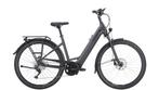 Pegasus Premio EVO 10 Lite 2024, Fietsen en Brommers, Elektrische fietsen, Verzenden, Gebruikt