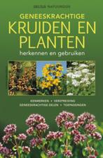 Geneeskrachtige kruiden en planten 9789044731330, Boeken, Verzenden, Zo goed als nieuw, Elfrune Wendelberger