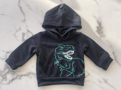 Baby jongens sweater met capuchon Dinosaurus Zwart, Kinderen en Baby's, Babykleding | Baby-kledingpakketten, Overige maten, Nieuw