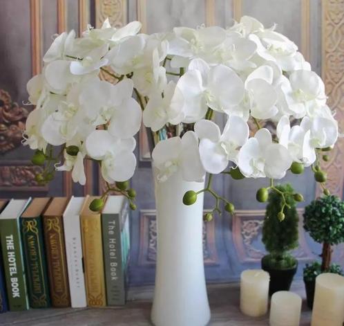Phalaenopsis orchidee spray ivory 77cm. orchid, Huis en Inrichting, Woonaccessoires | Kunstplanten en Kunstbloemen, Nieuw, Ophalen of Verzenden