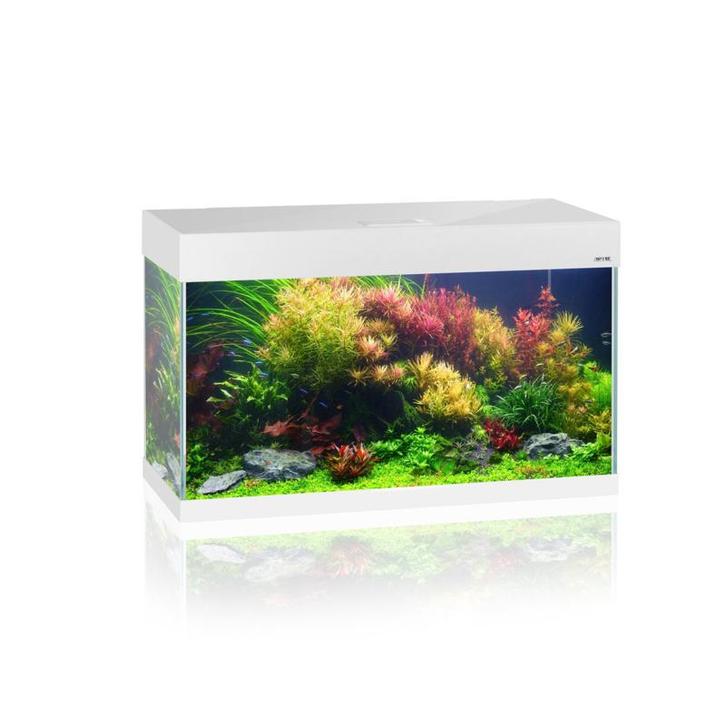 Osaka OptiSet 80 cm  Wit (Aquaria & meubels), Dieren en Toebehoren, Vissen | Aquaria en Toebehoren, Leeg aquarium, Nieuw, Ophalen of Verzenden