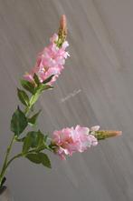 Zijden tak Lupine light pink 77 cm, Ophalen of Verzenden, Nieuw