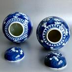 Paar Kersenbloesem Gemberpotten(NO RESERVE/CHEAP SHIPPING) -