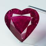 Rood Toermalijn - 19.68 ct - nternational Colored Gemstone, Sieraden, Tassen en Uiterlijk, Edelstenen, Nieuw