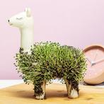Lama bloempot met zaadjes, Tuin en Terras, Bloempotten, Verzenden, Nieuw