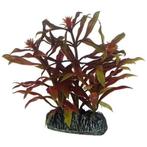 Osaka aquarium kunst plant Nesaea 13cm art. 570, Dieren en Toebehoren, Ophalen of Verzenden, Nieuw, Plant(en), Steen of Hout