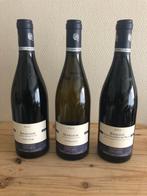 2022 Domaine Anne Gros Bourgogne Pinot Noir, Bourgogne, Nieuw