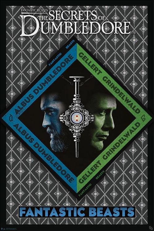 Poster Fantastic Beasts Dumbledore vs Grindelwald 61x91,5cm, Verzamelen, Posters, Nieuw, A1 t/m A3, Verzenden