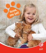 Hoera, een kat! / Kijkdoos / 237 9789464392975 Minke van Dam, Boeken, Verzenden, Zo goed als nieuw, Minke van Dam