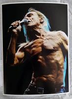 Massimo Barbaglia - Iggy Pop - Milan 2011, Antiek en Kunst