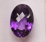 Zonder Minimumprijs Amethist - 20.95 ct - Instituto, Sieraden, Tassen en Uiterlijk, Edelstenen, Nieuw