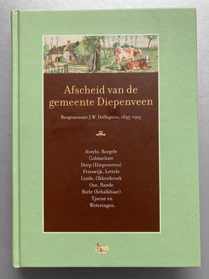 Afscheid van de gemeente Diepenveen 9789080893283, Boeken, Geschiedenis | Stad en Regio, Zo goed als nieuw, Verzenden