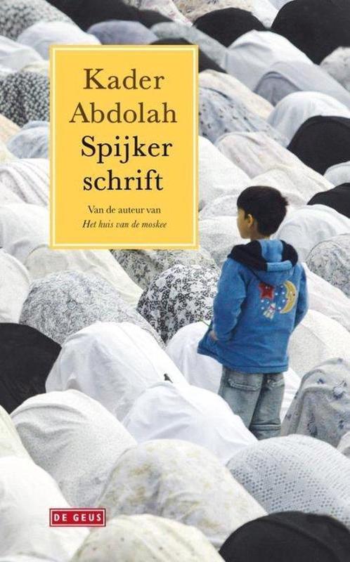 Spijkerschrift, Boeken, Overige Boeken, Ophalen of Verzenden