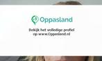 Ik ben Jennifer, 41 jaar oud en ik zoek oppaswerk in IJmu...