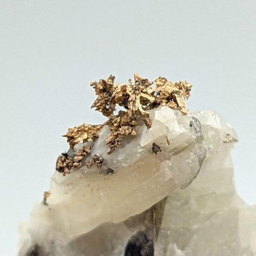 Rara ARGENTO NATIVO Vertakt, Mexico Kristallen op matrix -, Verzamelen, Mineralen en Fossielen