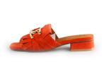 Di Lauro Slippers in maat 37 Oranje | 10% extra korting, Slippers, Overige kleuren, Verzenden, Di Lauro