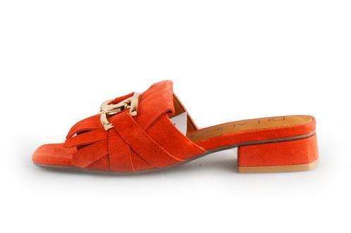 Di Lauro Slippers in maat 37 Oranje | 10% extra korting, Kleding | Dames, Schoenen, Overige kleuren, Zo goed als nieuw, Slippers
