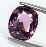 Zonder Minimumprijs Spinel - 1.49 ct - Gem Report Antwerp, Sieraden, Tassen en Uiterlijk, Edelstenen, Nieuw