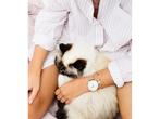 Cluse Boho Chic Mesh White, Rose Gold Colour, Verzenden, Nieuw