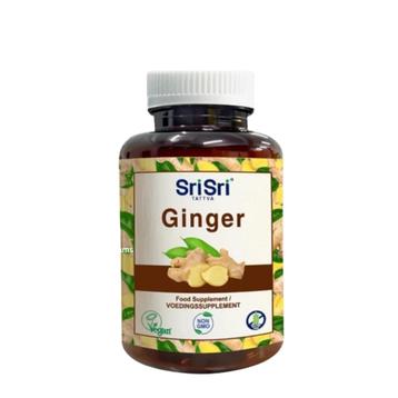 Ginger (Gember) beschikbaar voor biedingen